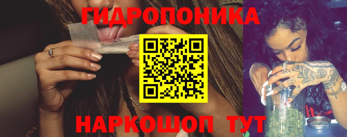 Бошки марихуана семена  Вход с VPN  Чернушка  Каннабис MAZAR 